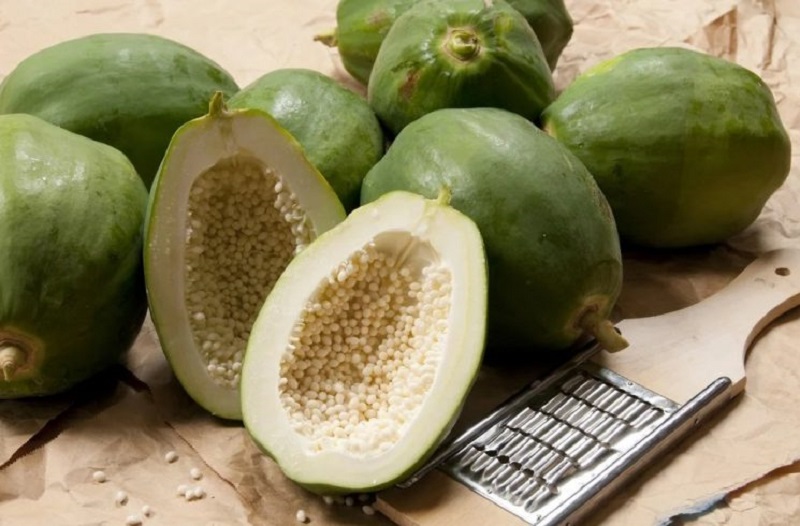 chữa đau xương khớp bằng đu đủ xanh