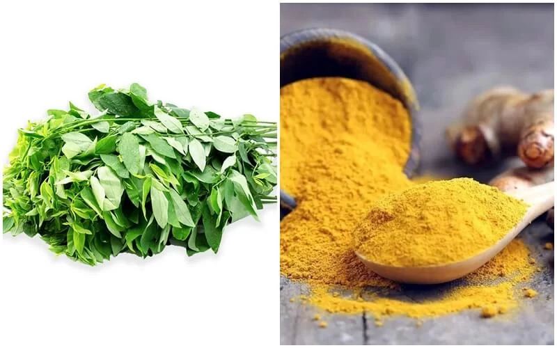 cách trị nám bằng rau ngót và tinh bột nghệ