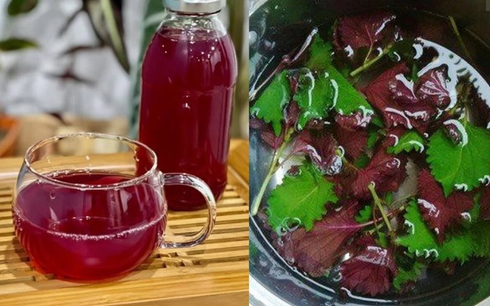 Nước lá tía tô
