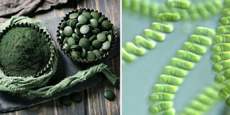 Cải thiện hệ tiêu hóa