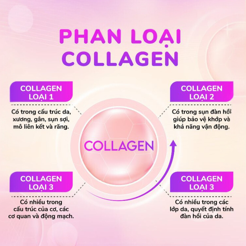 Phân loại collagen 