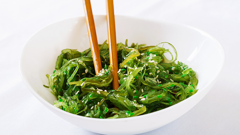 Tảo biển