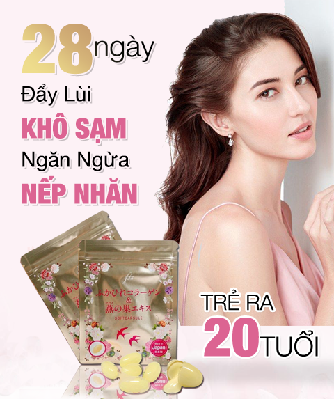 đánh giá cao chất lượng