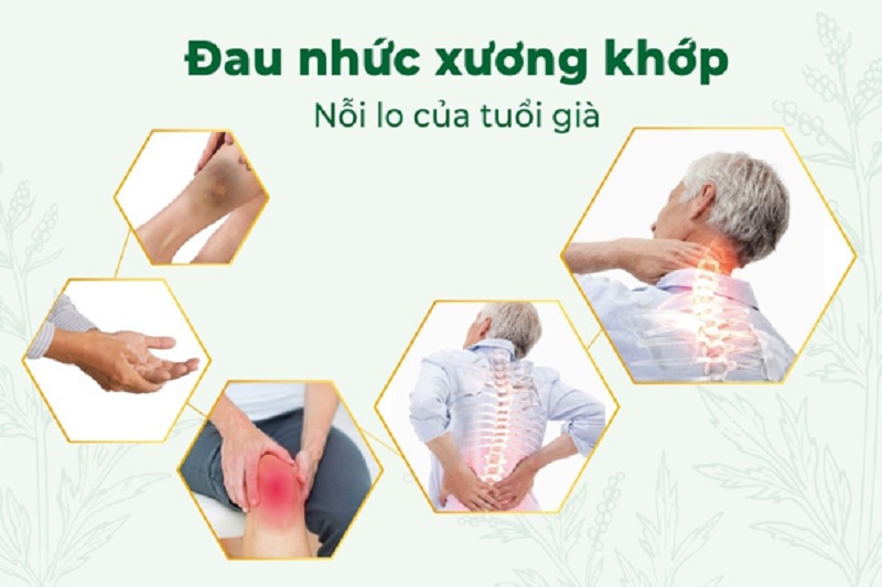 Thuốc xương khớp Nhật Bản loại nào tốt nhất cho người già 