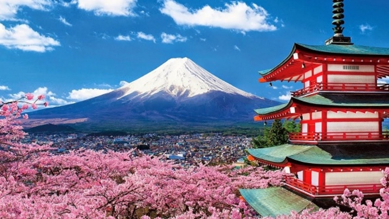 Theo dự báo, hoa anh đào tại Tokyo sẽ bắt đầu nở vào ngày 23 tháng 3 và kéo dài đến ngày 30 tháng 3