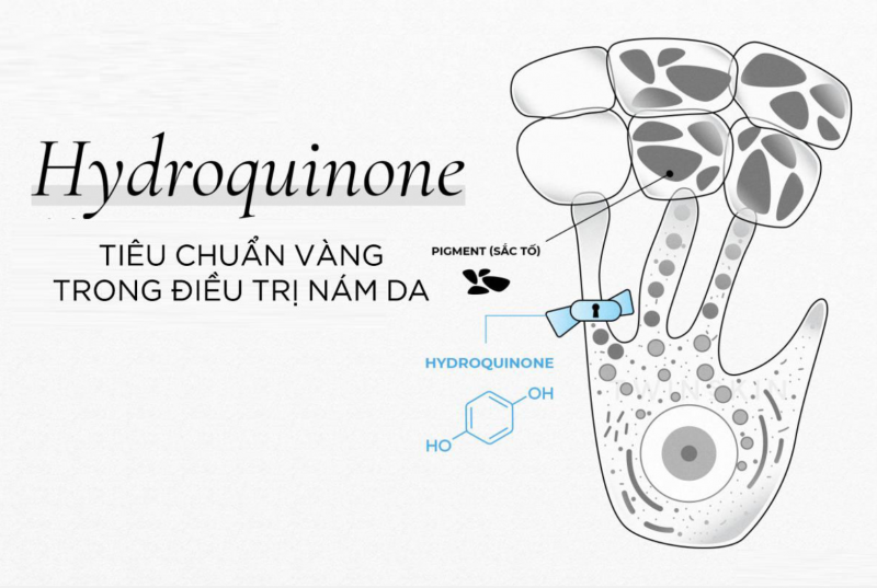 Sử dụng sản phẩm có chứa thành phần Hydroquinone 