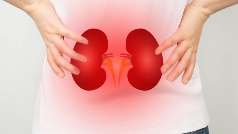 Người mắc bệnh về thận cũng là những ai không nên uống tảo biển