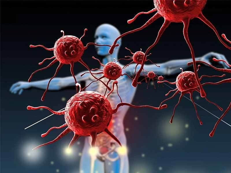 Người mắc bệnh tự miễn dịch cần lưu ý không nên dùng tảo biển
