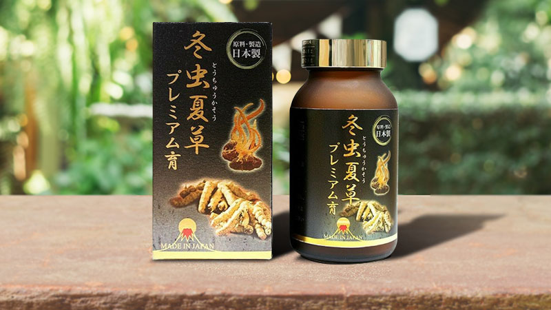 Japana - Địa chỉ mua đông trùng hạ thảo chất lượng, uy tín
