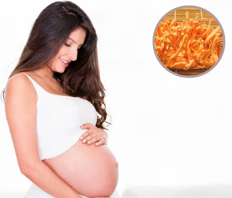 Phụ nữ mang thai không nên uống đông trùng hạ thảo