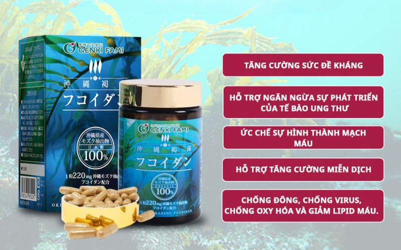 Tảo nâu có nhiều công rất tốt cho sức khỏe.