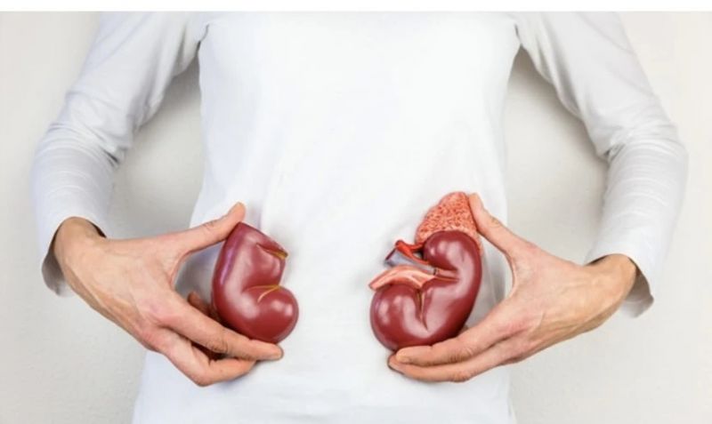 tảo xoắn nhật có tác dụng gì