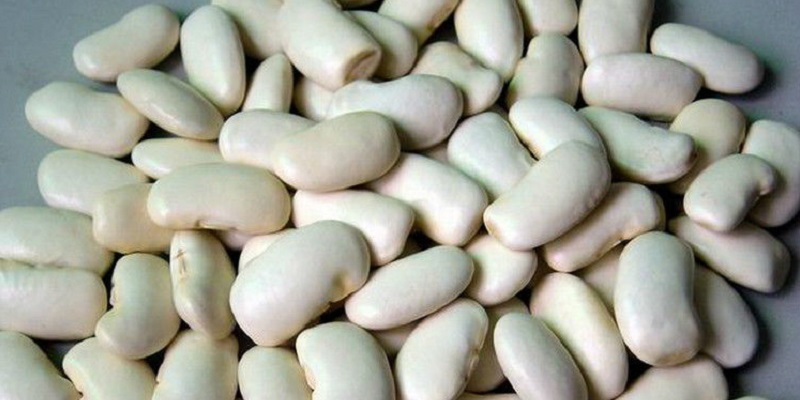 Các loại đậu