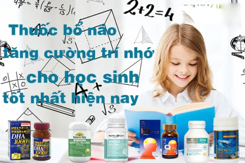 Thuốc bổ não cho học sinh sinh viên
