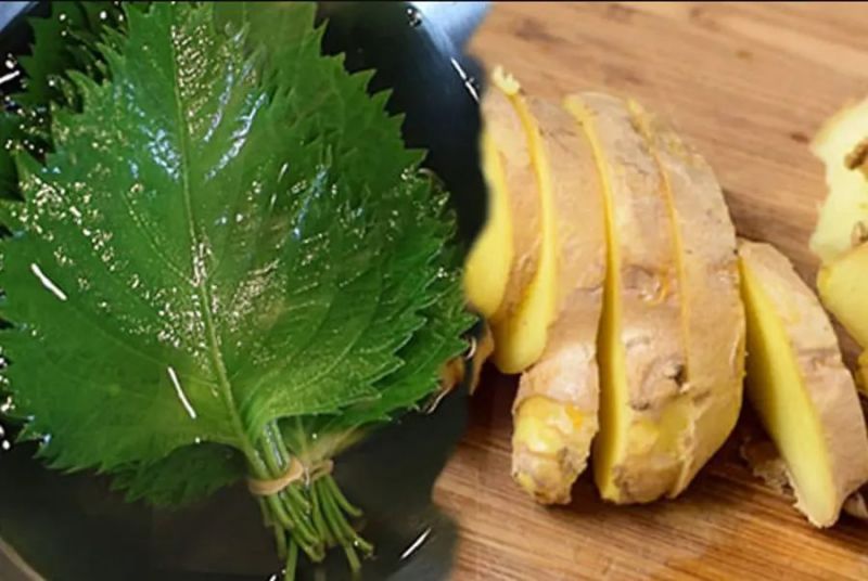 cách uống la tía to của người nhật