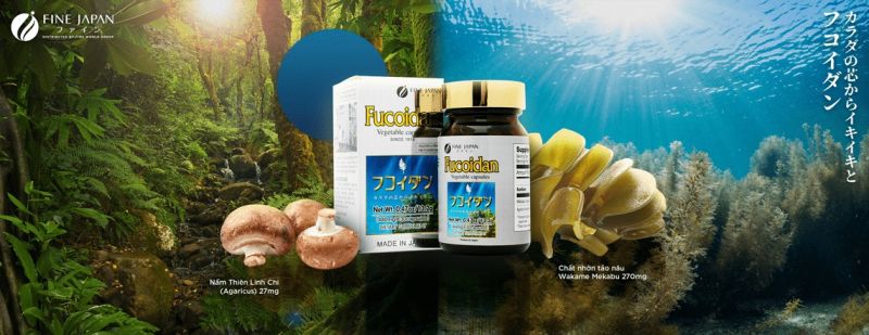 Hỗ trợ điều trị viên nén Fine Japan Fucoidan