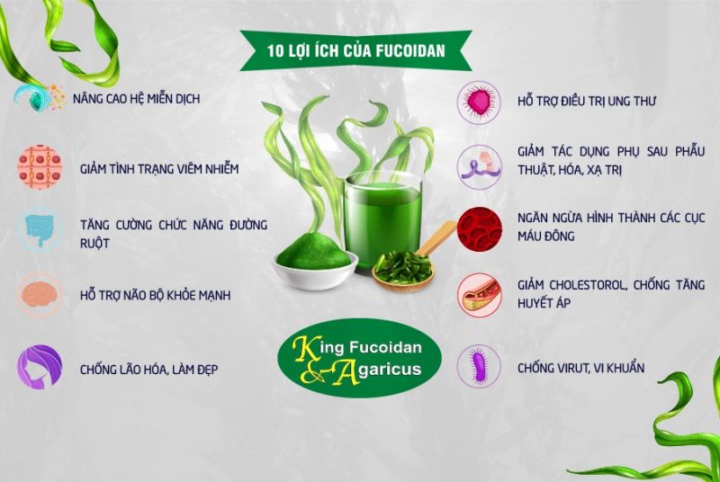 Fucoidan phòng bình thư và nâng cao sức khỏe tổng thể