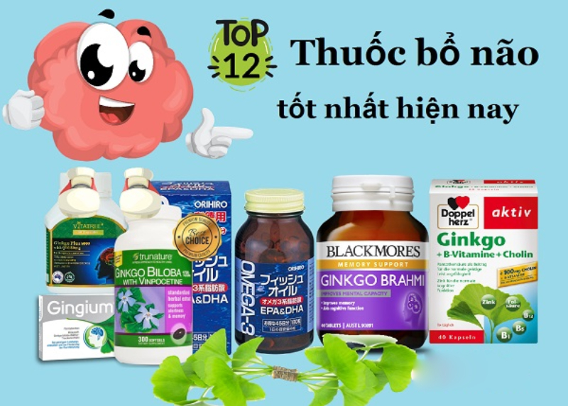 Thuốc bổ não cho học sinh sinh viên