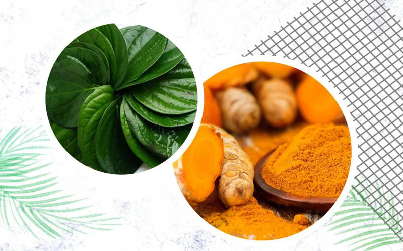 lá trầu không với nghệ tươi trị nám