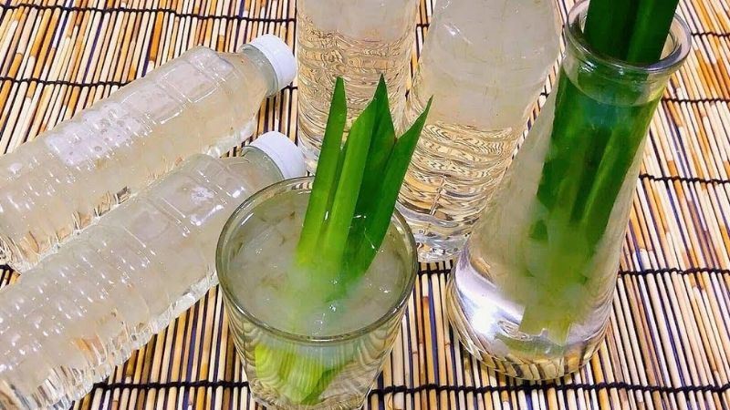Nha đam chứa nhiều dưỡng chất hỗ trợ tái tạo tế bào gan và giải độc gan