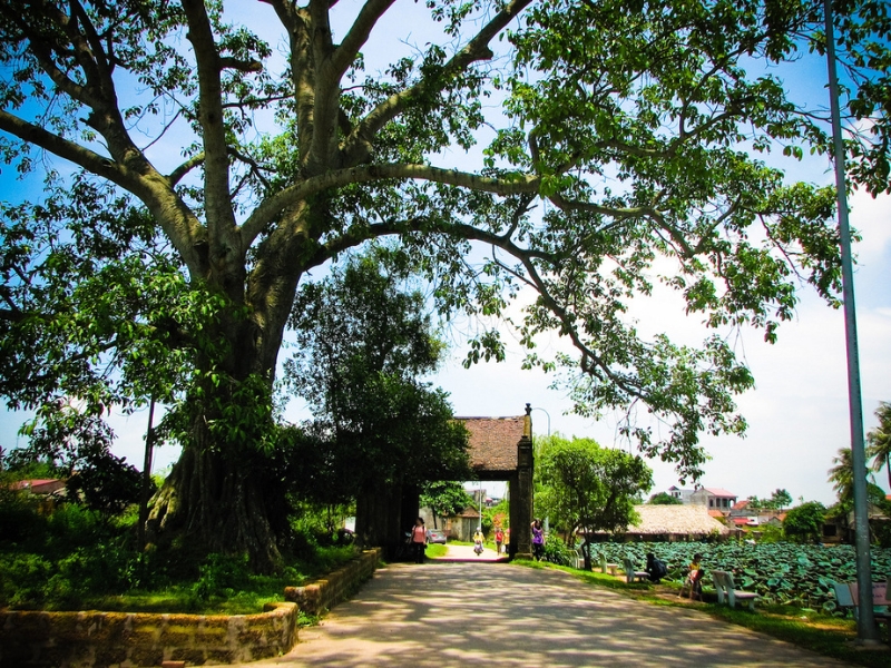 Vẻ đẹp mang đậm văn hóa Việt Nam của Làng cổ Đường Lâm.