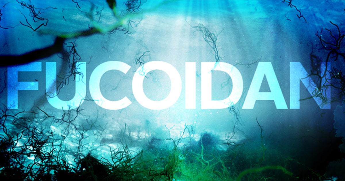 Fucoidan – Thần dược trường thọ, chống ung thư của người Nhật