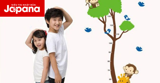 Hướng dẫn cách bổ sung canxi tăng chiều cao 