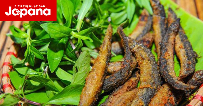 Món ăn từ cá - Vị thuốc giúp tăng cường sinh lý cho nam giới