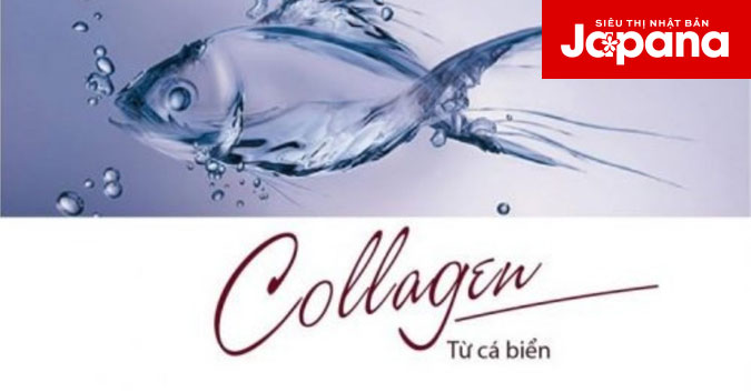 Liệu có bị tăng cân khi sử dụng collagen da cá thường xuyên?