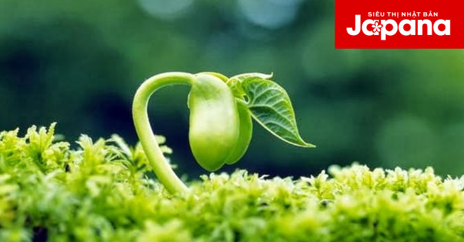 Chị em có hồi sinh ham muốn nếu được bổ sung nội tiết tố nữ?