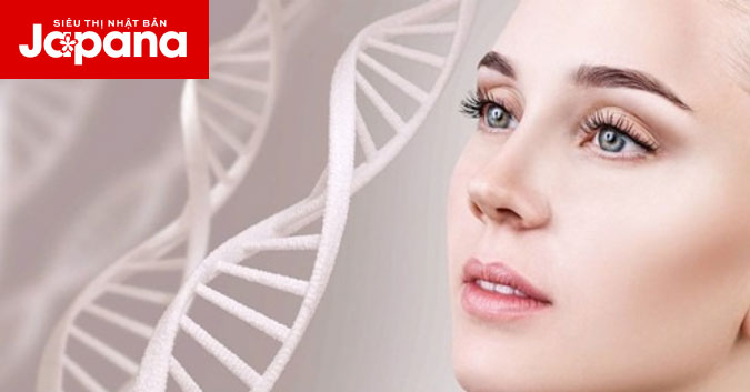 Collagen có thực sự mang lại hiệu quả làm da trắng sáng?