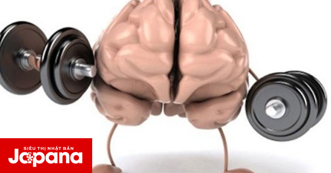 Suy giảm trí nhớ có thể gây teo não