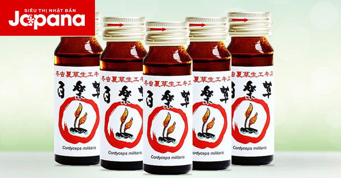Khám phá 5 lợi ích "vàng" của đông trùng hạ thảo dạng nước của Nhật
