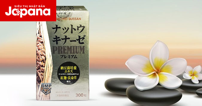 Top 10 viên uống chống đột quỵ tốt nhất của Nhật Bản