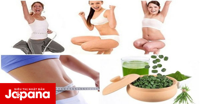 Đằng sau sự thật về việc uống tảo giúp giảm cân
