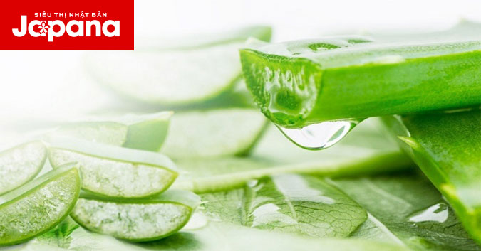 Tác dụng thần kì của nha đam đối với tóc mà bạn cần biết