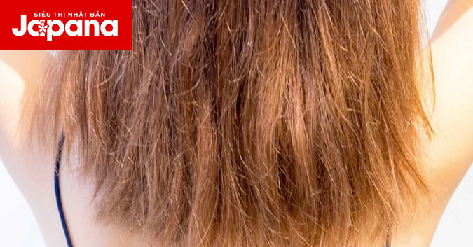 Bí quyết chăm sóc khô xơ tại nhà chuẩn salon