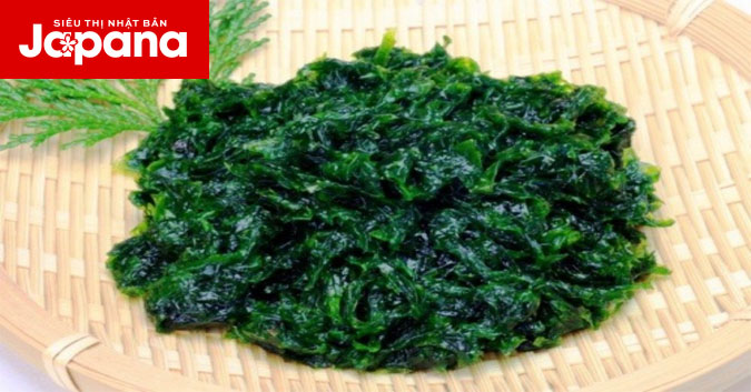 Tảo xoắn là gì? Công dụng của tảo xoắn đối với da mặt