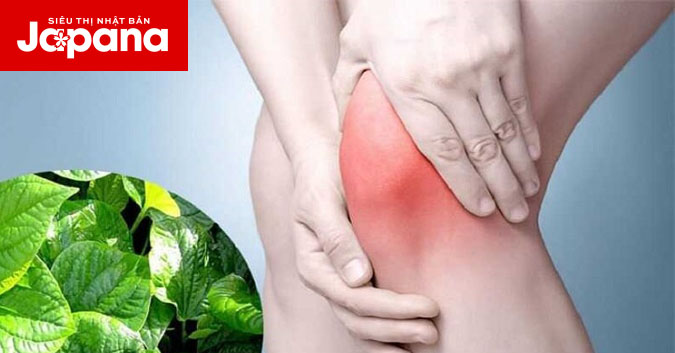 11 cách chữa thoái hoá khớp gối bằng những nguyên liệu có trong tự nhiên
