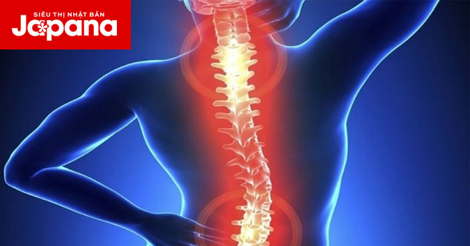Mách bạn cách điều trị thoái hoá đốt sống lưng bằng lá lốt
