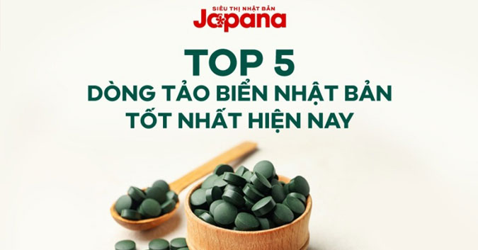 5 DÒNG TẢO XOẮN NHẬT NÀO ĐƯỢC NHIỀU NGƯỜI TIN DÙNG HIỆN NAY?