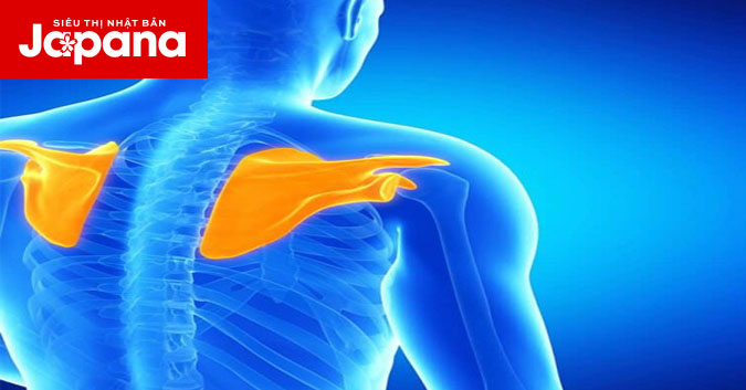 Những điều bạn cần biết về chấn thương gãy xương bã vai