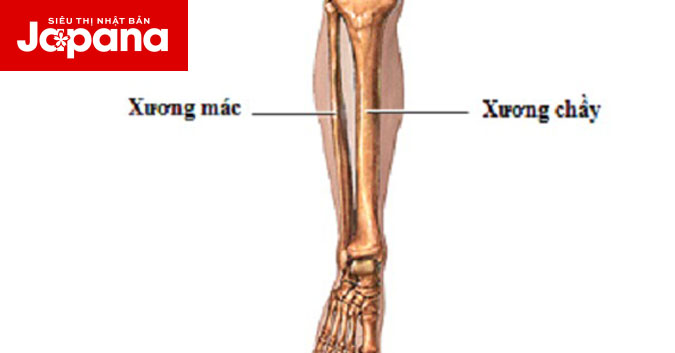 Trong quá trình điều trị gãy xương mác, người bệnh cần làm gì?