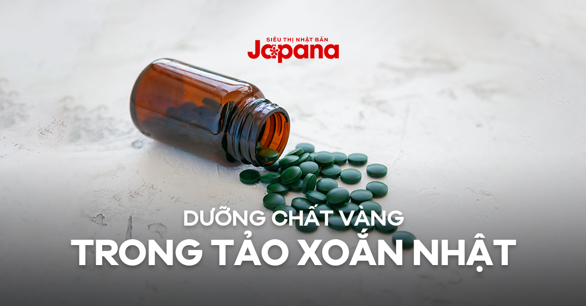 Thành phần dinh dưỡng có trong tảo xoắn Spirulina Nhật Bản
