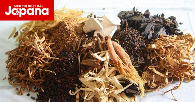 Khi điều trị viêm cột sống dính khớp bằng đông y có 2 lầm tưởng thường mắc phải
