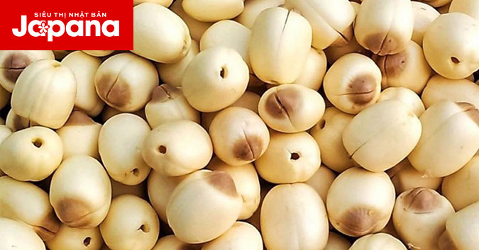 Công dụng làm đẹp của hạt sen đối với chị em phụ nữ