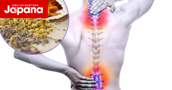 Lạm dụng thuốc dân gian chữa thoái hoá khớp có thể gây tác dụng ngược