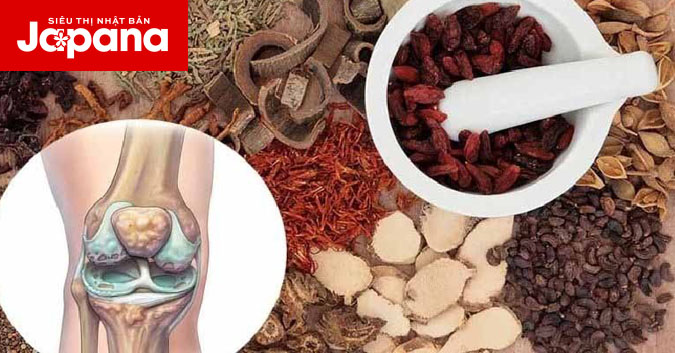 Cảnh báo hàng giả khi điều trị thoái hoá khớp gối bằng đông y