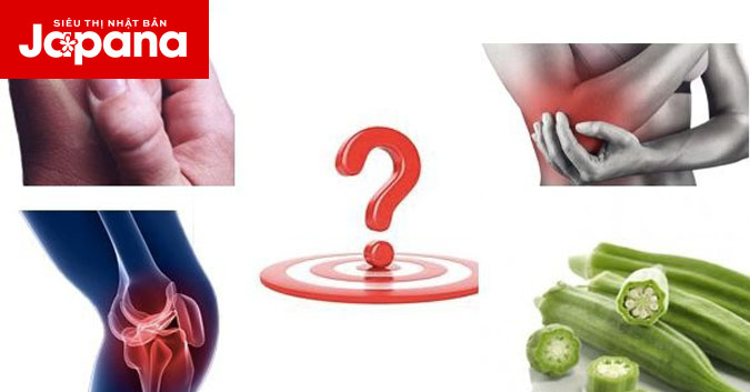 Tác dụng của đậu bắp đối với bệnh xương khớp có hiệu quả như lời đồn?