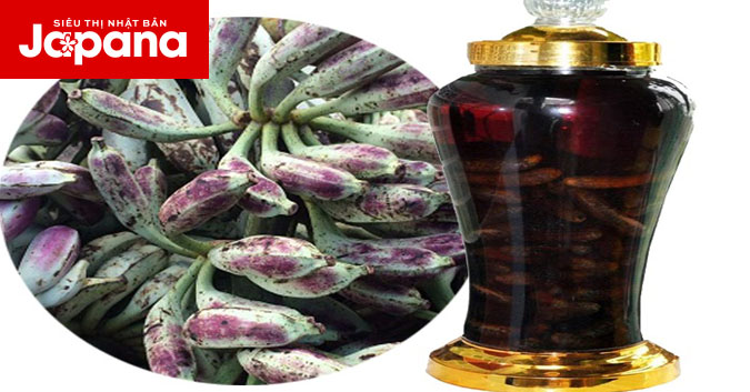 Mách bạn cách ngâm rượu chuối hột chữa đau khớp tại nhà